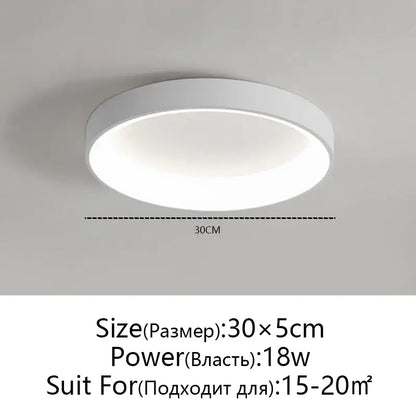 Modern minimalist white & grey led ceiling lights for living room