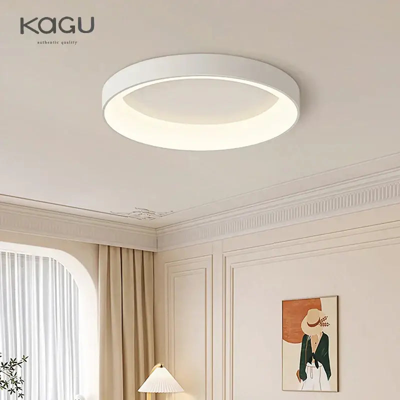 Modern minimalist white & grey led ceiling lights for living room