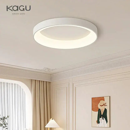 Modern minimalist white & grey led ceiling lights for living room