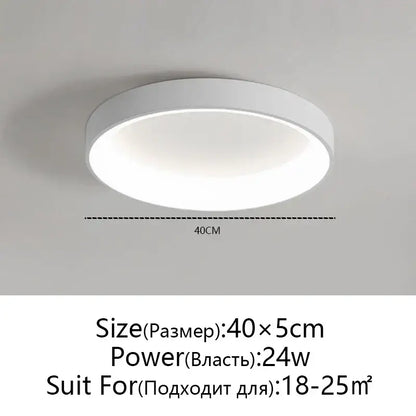Modern minimalist white & grey led ceiling lights for living room