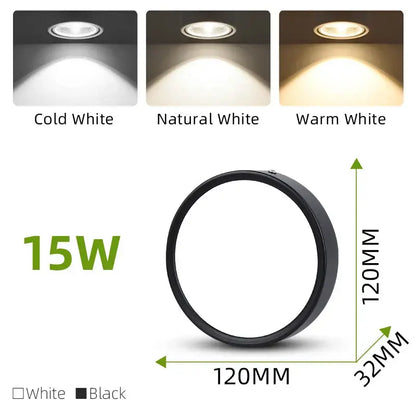 Adjustable black & white led ceiling spot for kitchen lighting