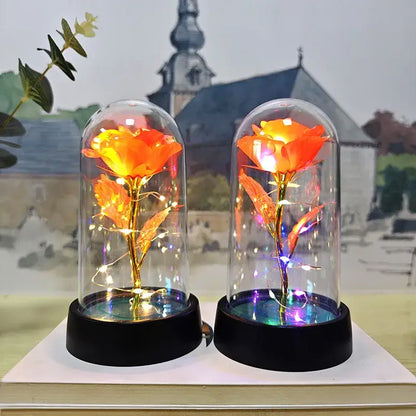 Set of 3 golden eternal rose light glass domes bedroom decor