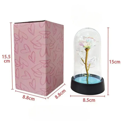 Set of 3 golden eternal rose light glass domes bedroom decor