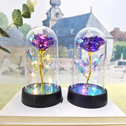 Set of 3 golden eternal rose light glass domes bedroom decor