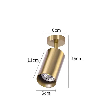 Modern brass led golden ceiling spotlight for living room