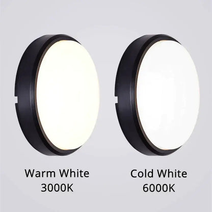 Matte black oval wall lamp waterproof garden ceiling light