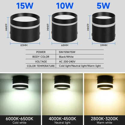 Modern black & white led spot lighting living room downlight