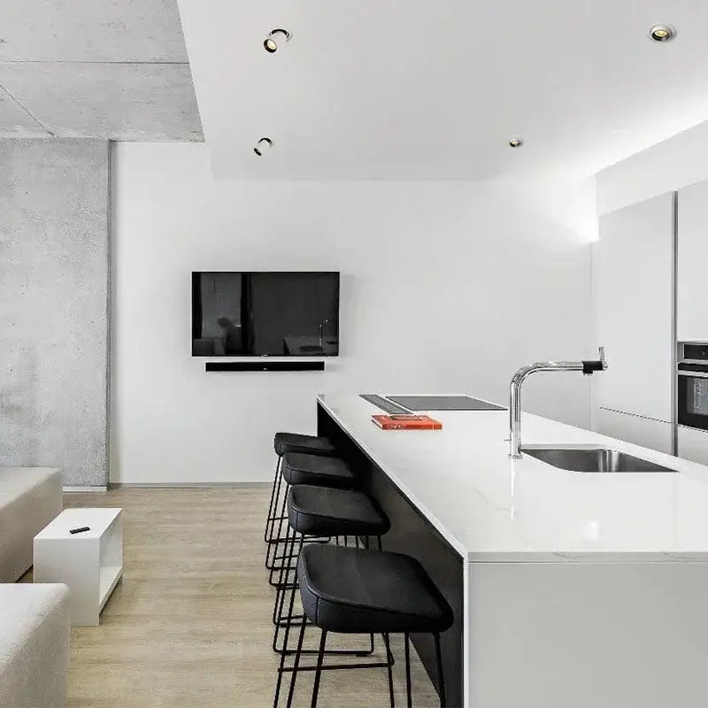 Modern black & white led transformer downlight living room spotlight