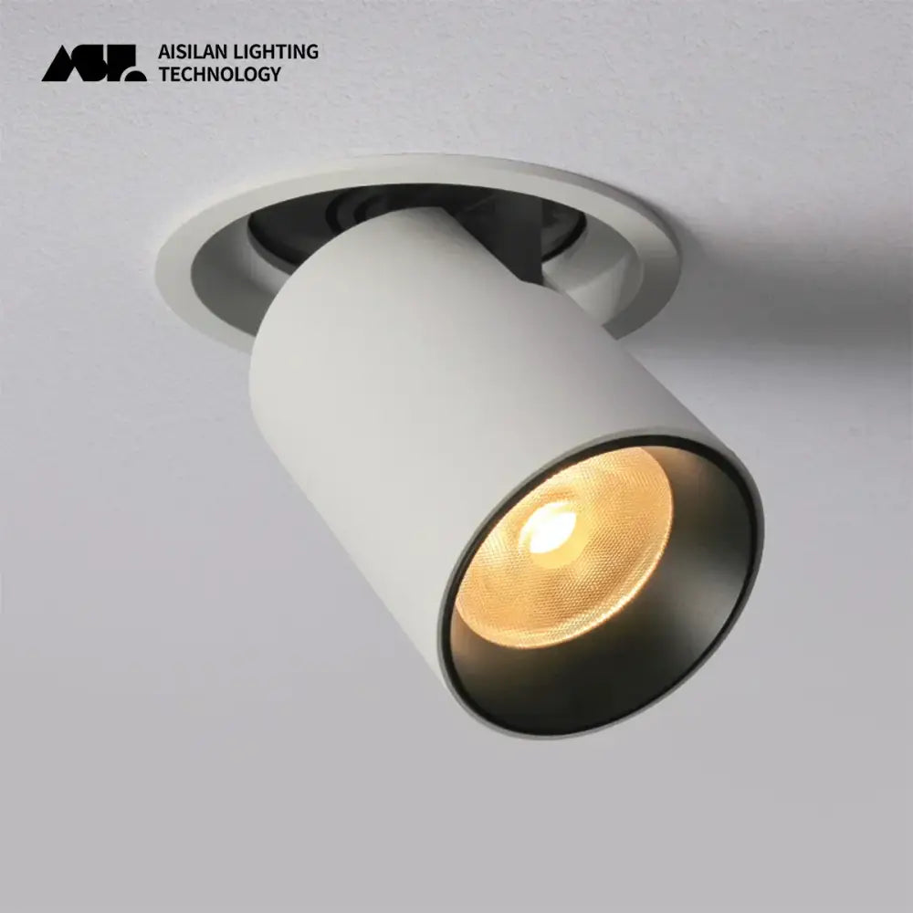Modern black & white led transformer downlight living room spotlight