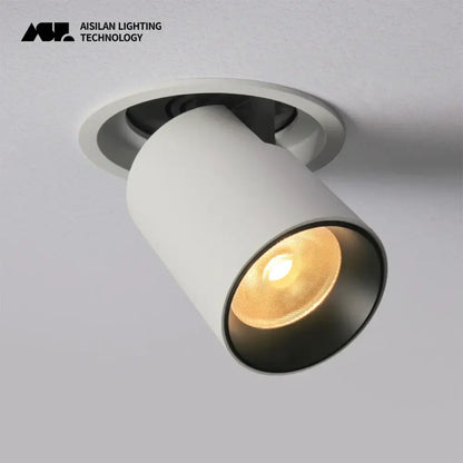 Modern black & white led transformer downlight living room spotlight