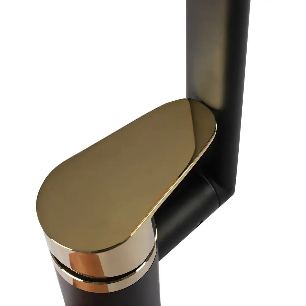 Modern matte black & gold dual water mode kitchen faucet
