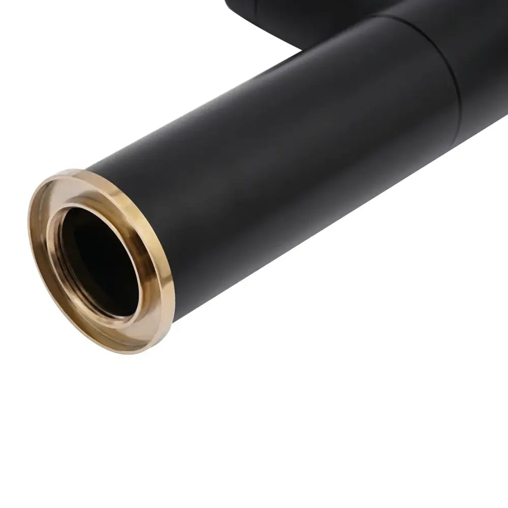Modern matte black & gold dual water mode kitchen faucet