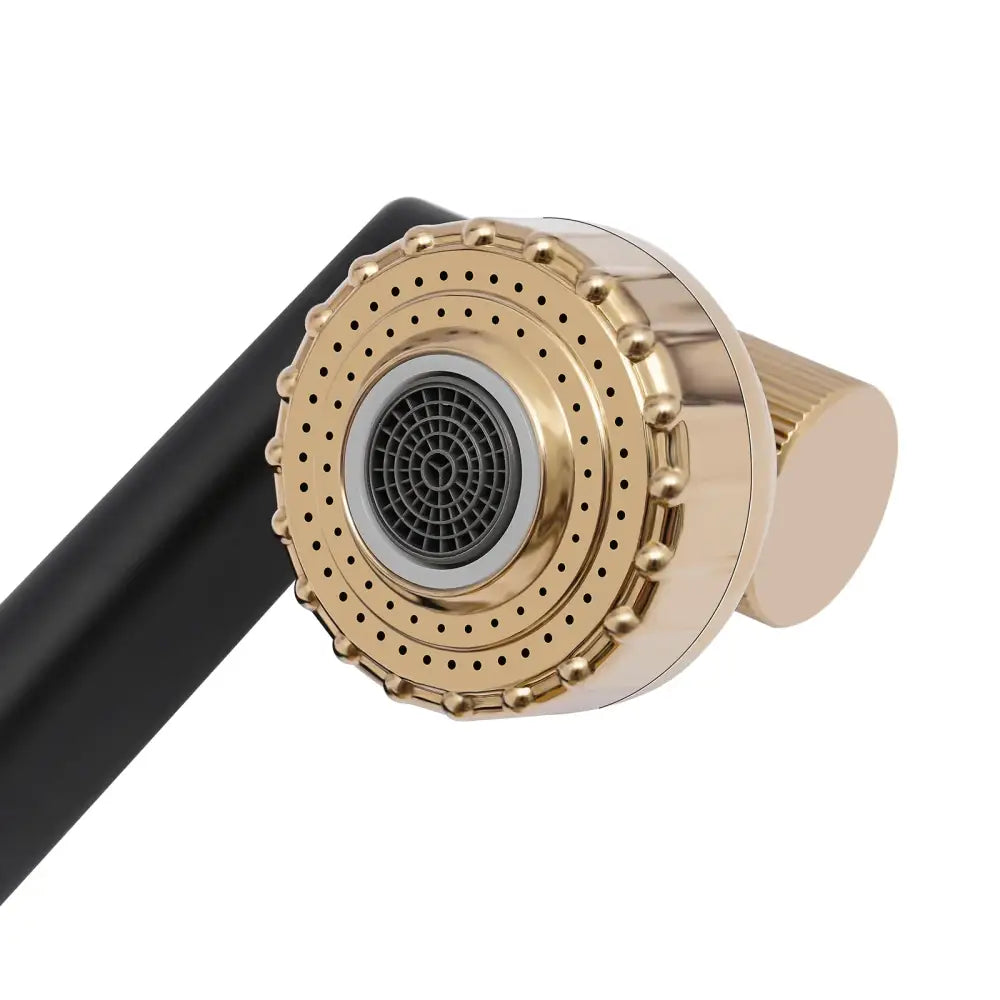 Modern matte black & gold dual water mode kitchen faucet