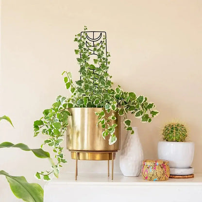 Ornate black wrought iron metal garden plant stand garden trellis