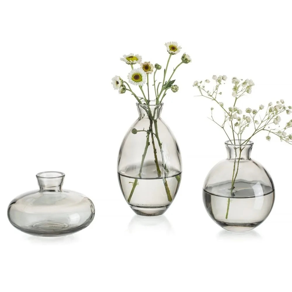 DecorBites™ Mini Glass Flower Vase for Home Decor