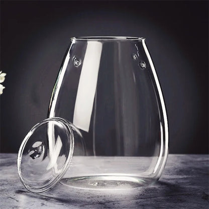 DecorBites™ Mini Glass Terrarium for Succulents and Moss