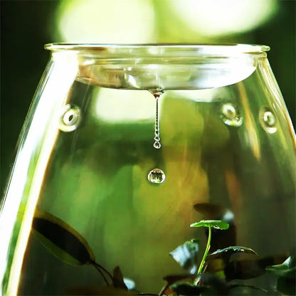 Mini glass green succulent moss terrarium living room decor