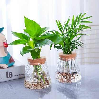 DecorBites™ Mini Nordic Glass Hydroponic Planter Tray