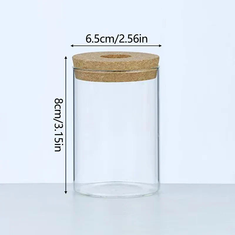DecorBites™ Mini Nordic Glass Hydroponic Planter Tray