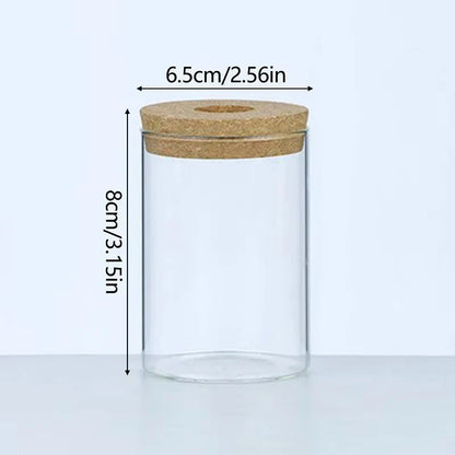 DecorBites™ Mini Nordic Glass Hydroponic Planter Tray