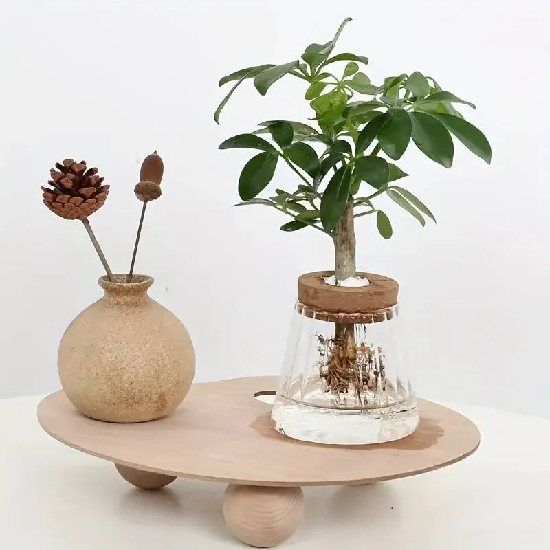 Mini nordic glass hydroponic planter with wood lid living room decor