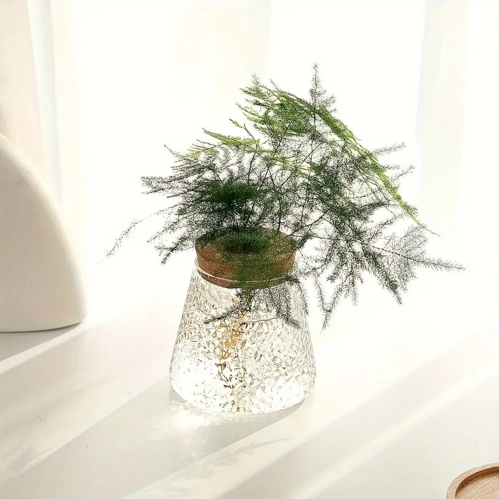 Mini nordic glass hydroponic planter with wood lid living room decor
