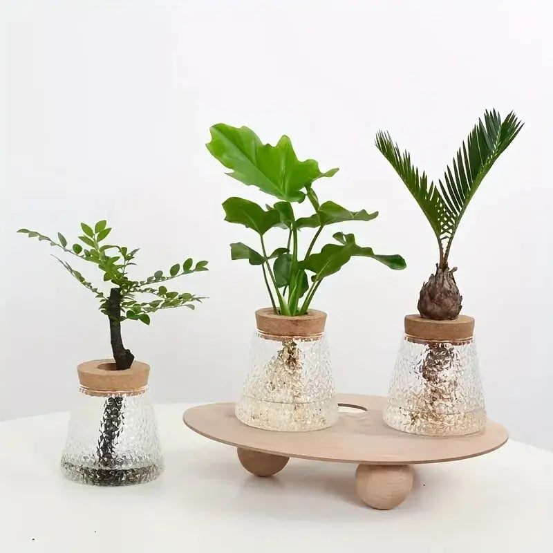 Mini nordic glass hydroponic planter with wood lid living room decor