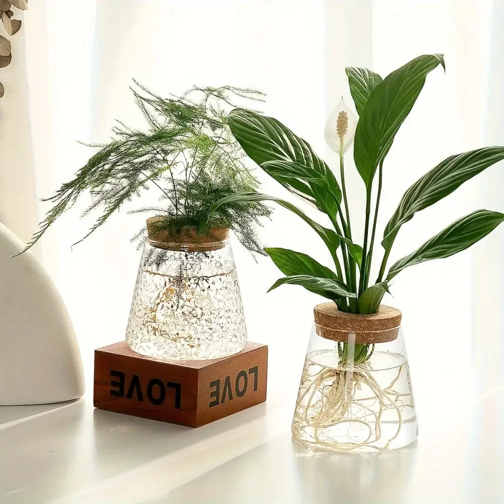 Mini nordic glass hydroponic planter with wood lid living room decor