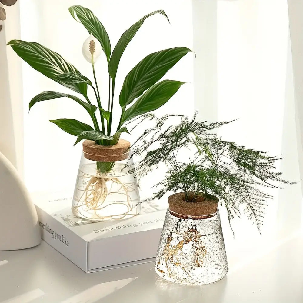 Mini nordic glass hydroponic planter with wood lid living room decor