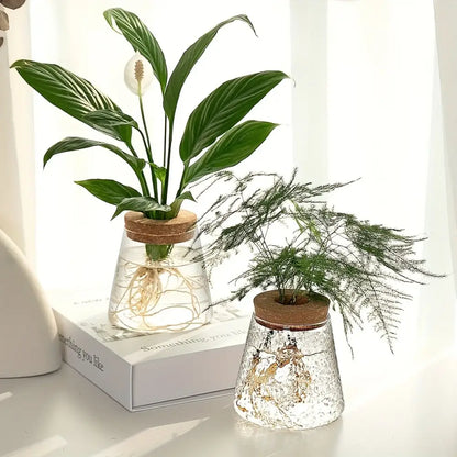 Mini nordic glass hydroponic planter with wood lid living room decor