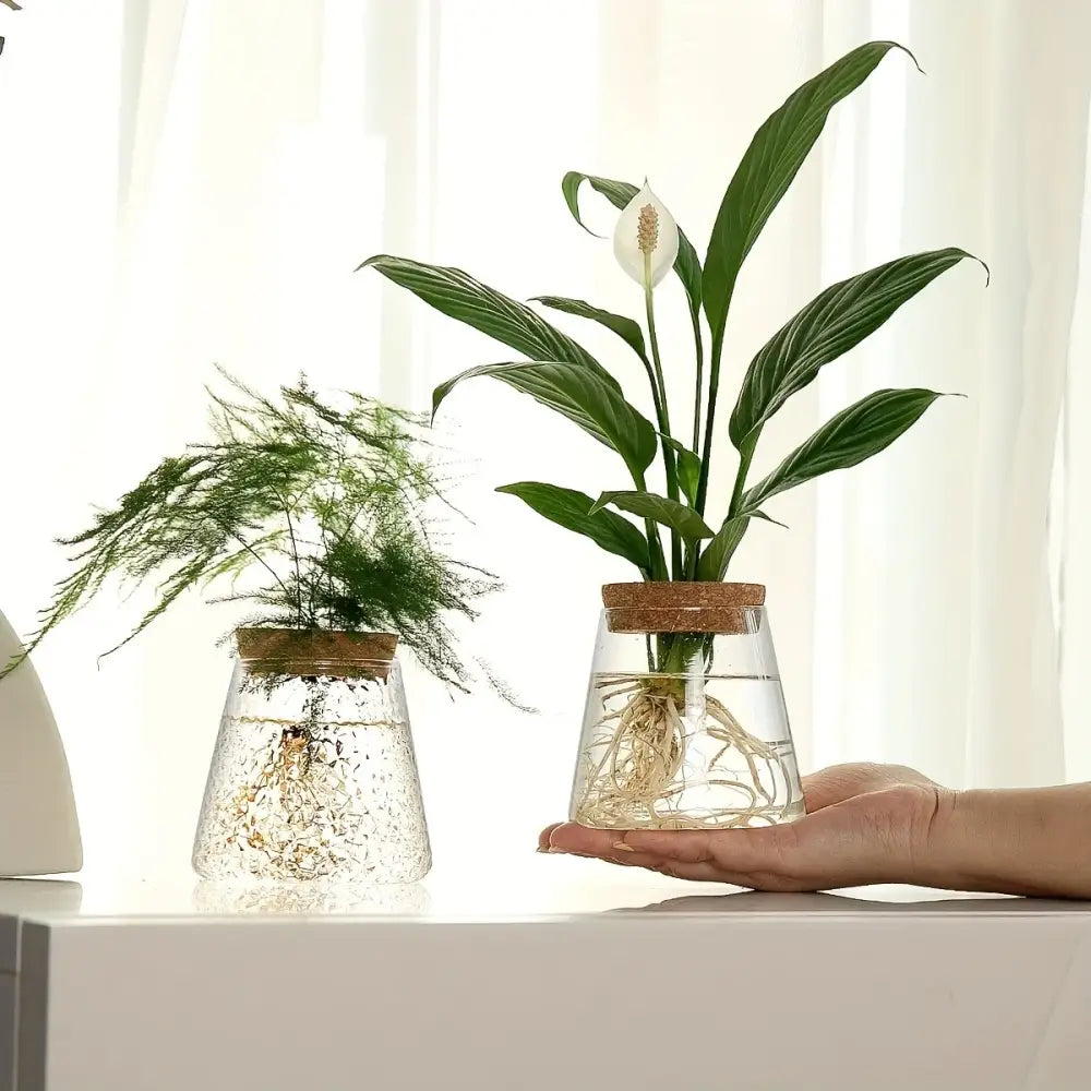 Mini nordic glass hydroponic planter with wood lid living room decor