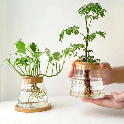 Mini nordic glass hydroponic planter with wood lid living room decor