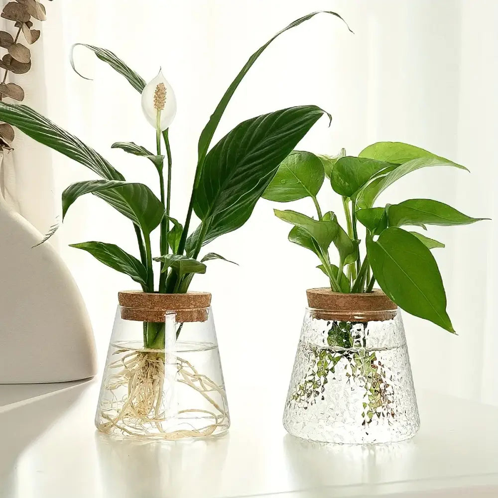 Mini nordic glass hydroponic planter with wood lid living room decor