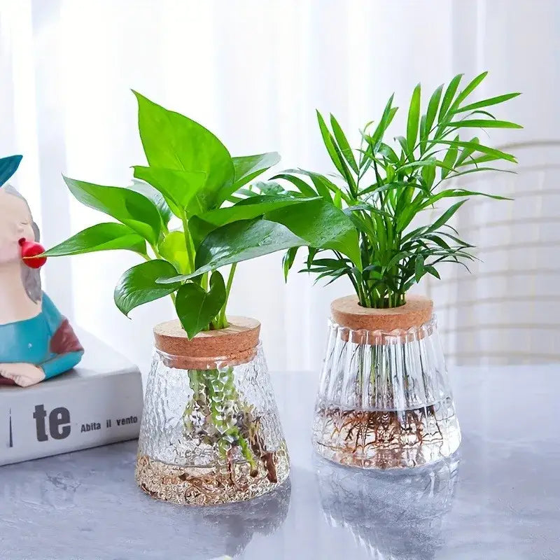 Mini nordic glass hydroponic planter with wood lid living room decor