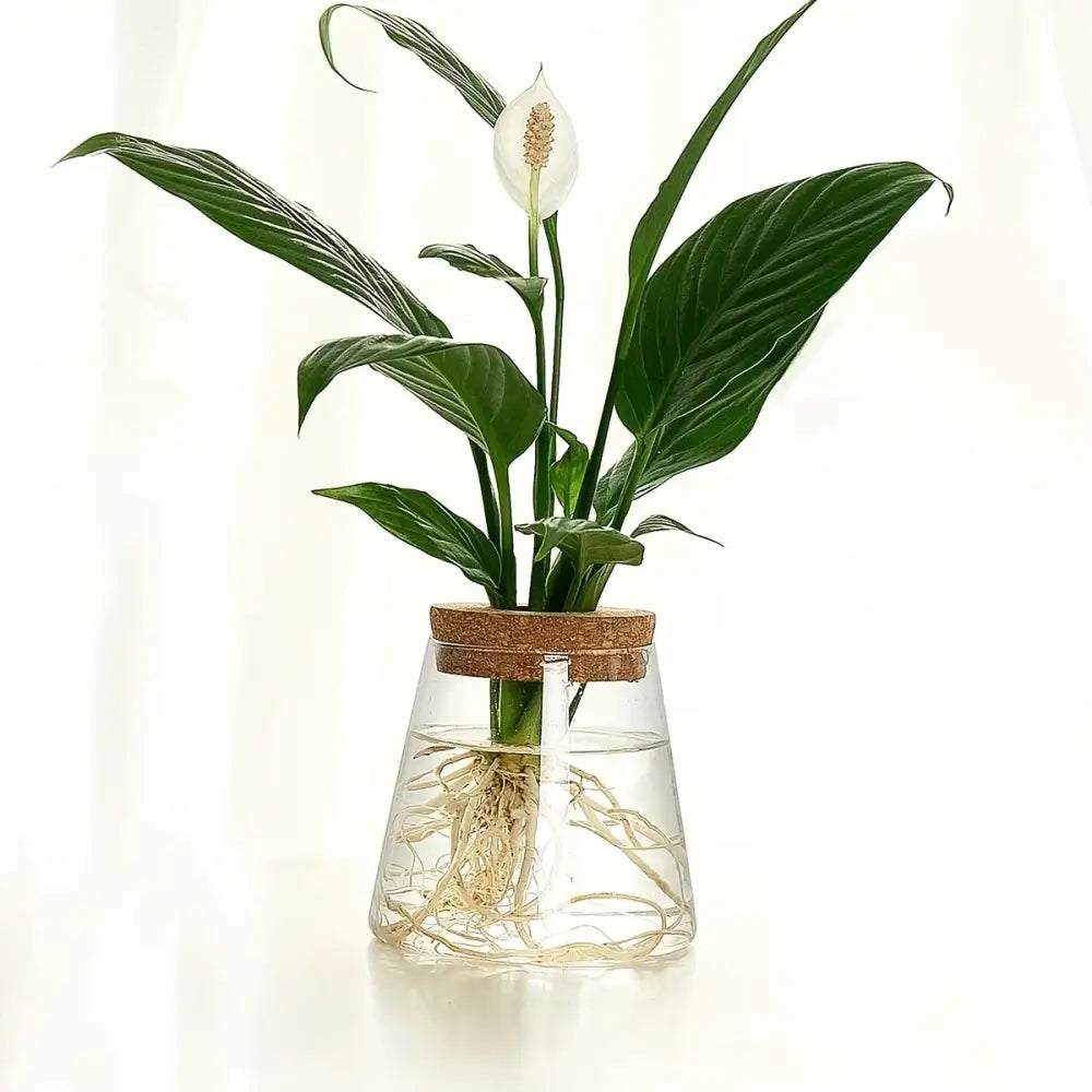 Mini nordic glass hydroponic planter with wood lid living room decor