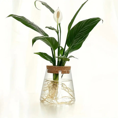 Mini nordic glass hydroponic planter with wood lid living room decor