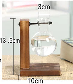 DecorBites™ Modern Crystal Glass Test Tube Vase