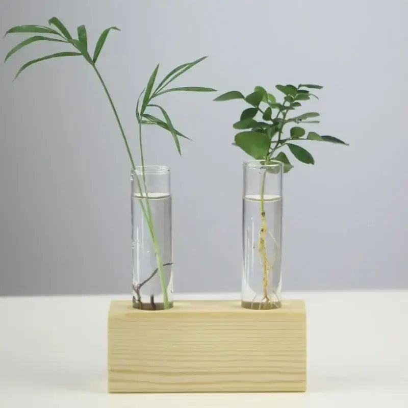 Modern crystal glass test tube vase trio living room wooden stand