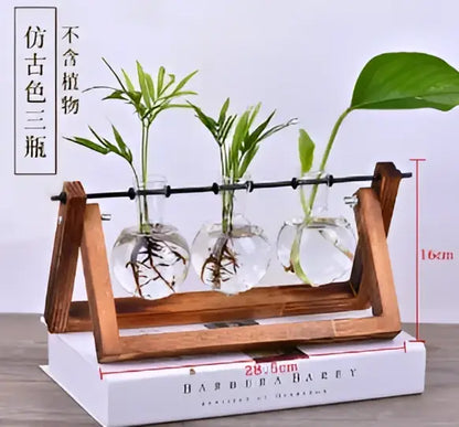 Modern crystal glass test tube vase trio living room wooden stand