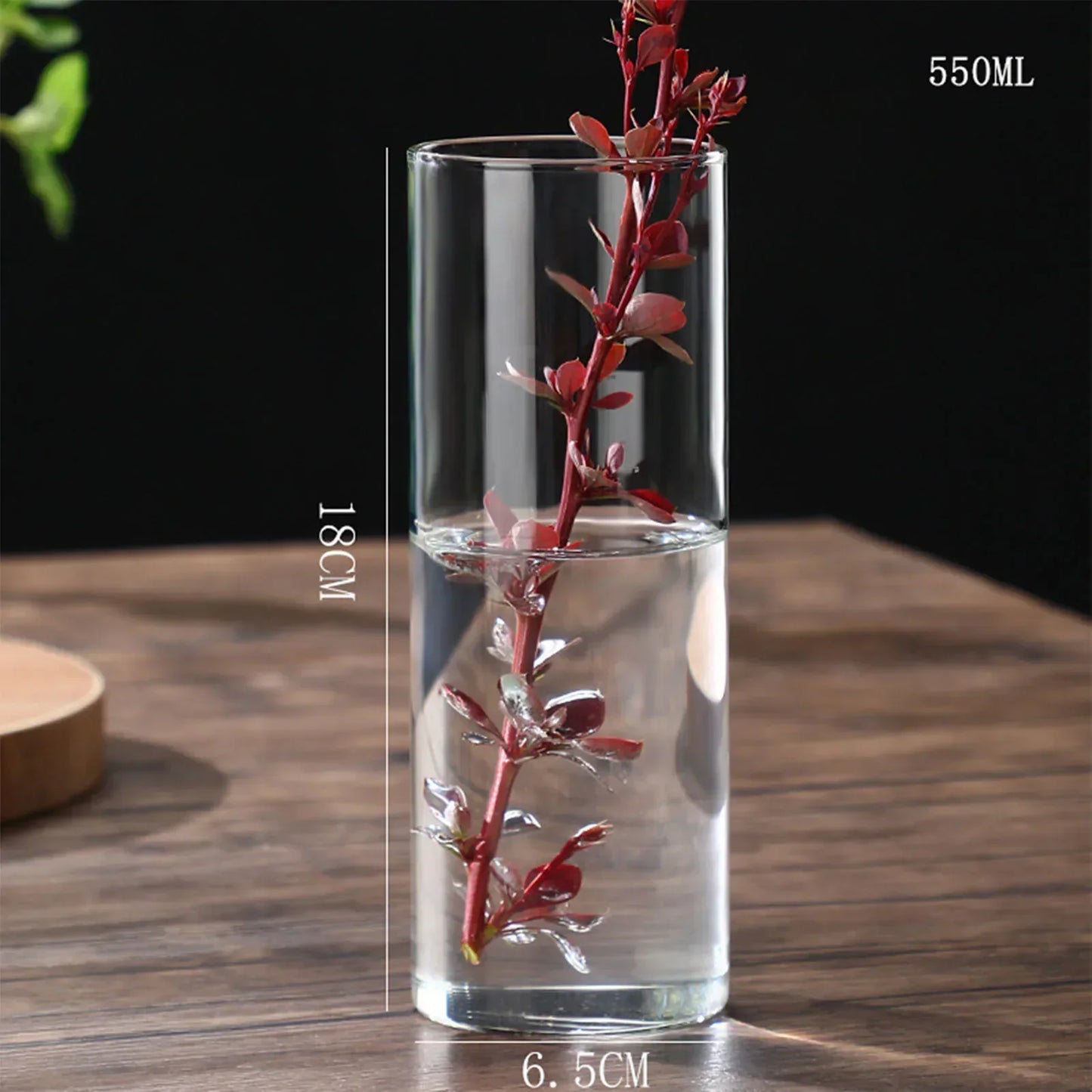 DecorBites™ Modern Glass Hydroponic Vase for Wedding Decor