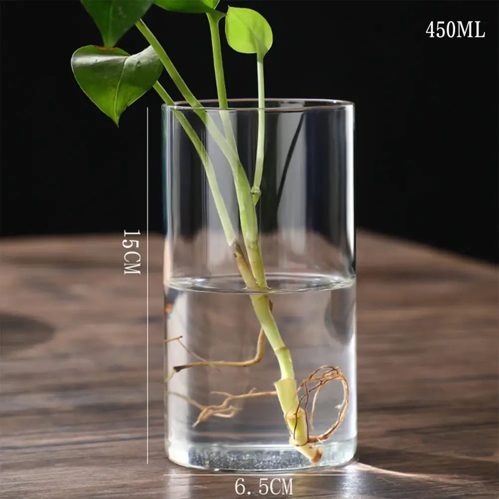 Modern glass hydroponic vase living room wedding decor fish tank