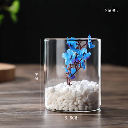 Modern glass hydroponic vase living room wedding decor fish tank