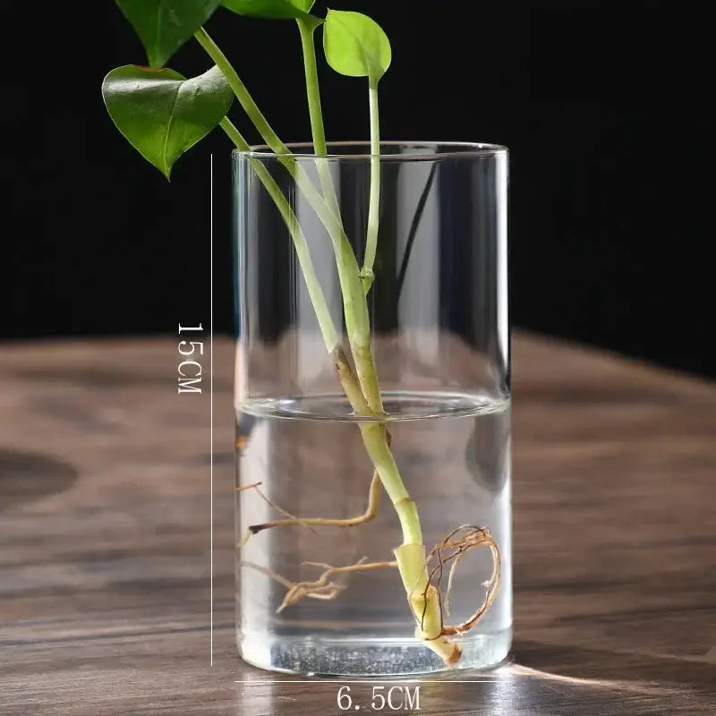 Modern glass hydroponic vase living room wedding decor fish tank