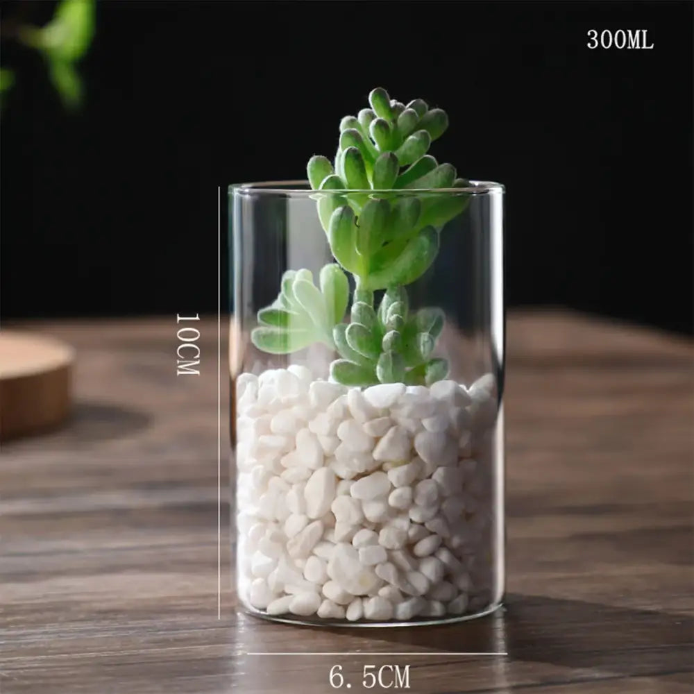 Modern glass hydroponic vase living room wedding decor fish tank
