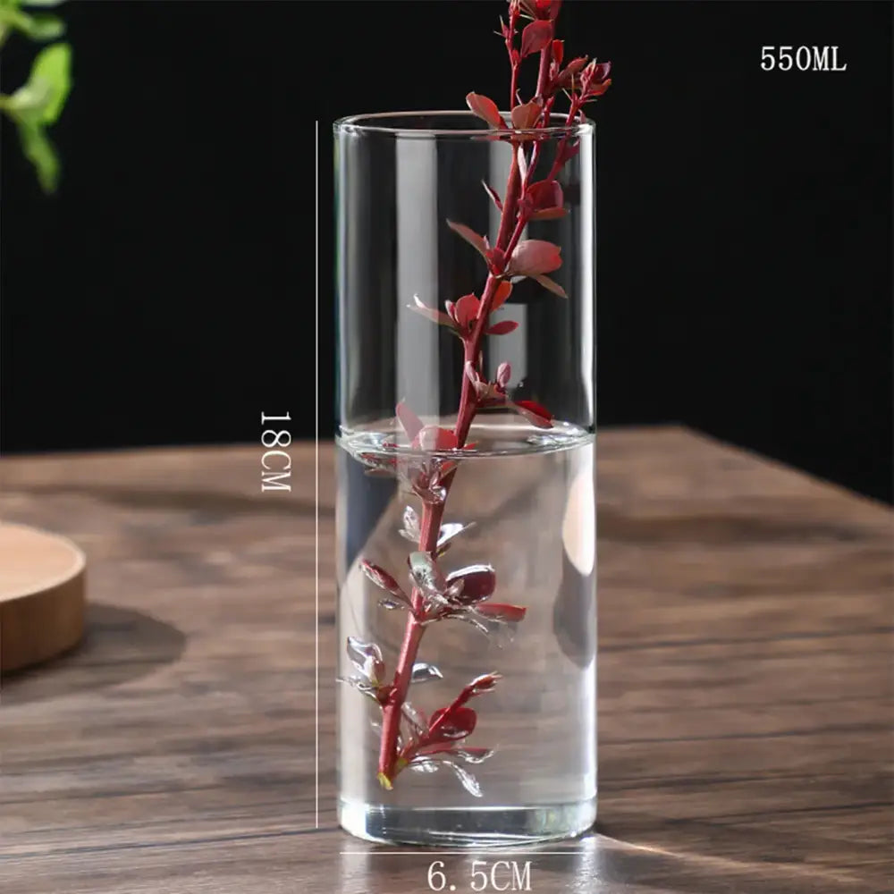 Modern glass hydroponic vase living room wedding decor fish tank