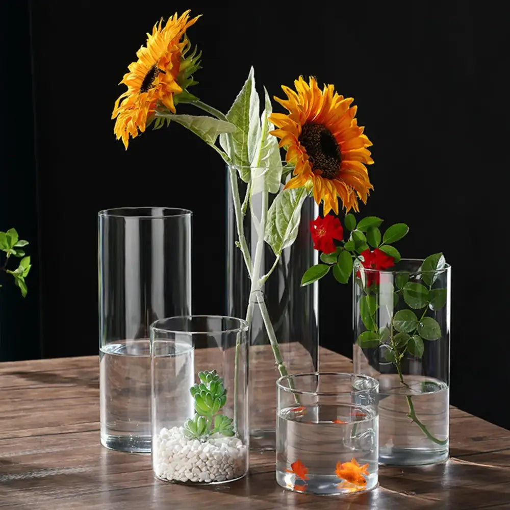 Modern glass hydroponic vase living room wedding decor fish tank