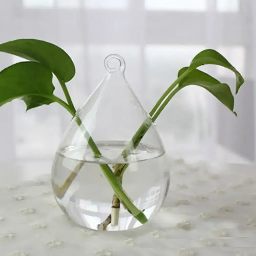Modern tapered glass vase terrarium – living room decoration