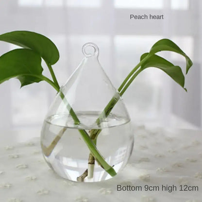 Modern tapered glass vase terrarium – living room decoration