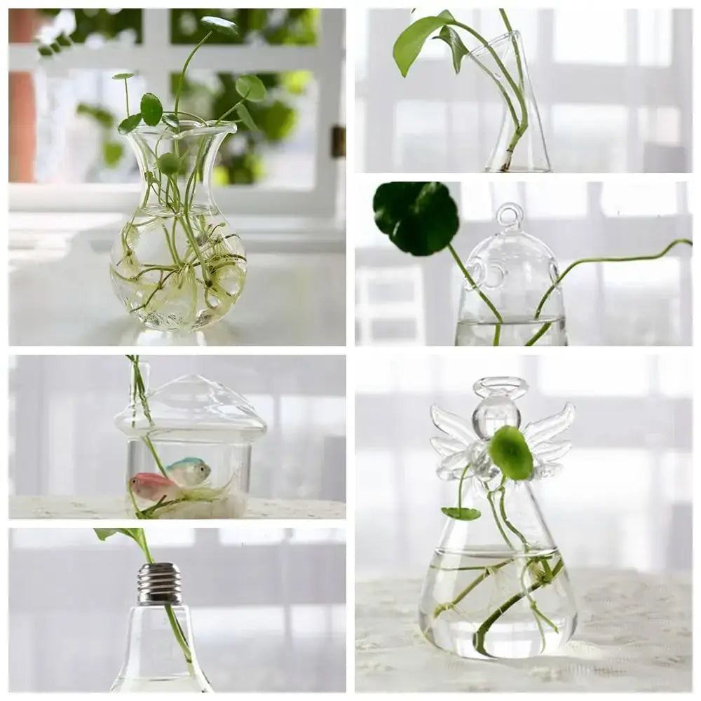 Modern tapered glass vase terrarium – living room decoration