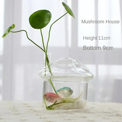 Modern tapered glass vase terrarium – living room decoration